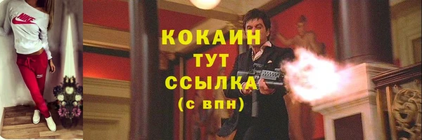 мяу мяу мука Аркадак